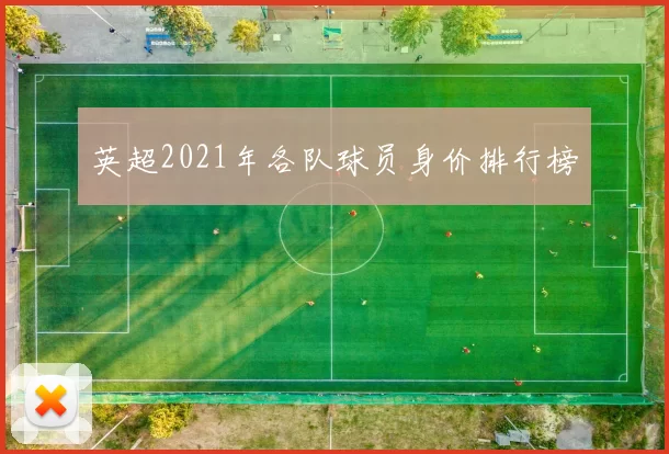英超2021年各队球员身价排行榜
