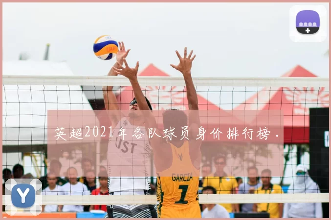 英超2021年各队球员身价排行榜 .