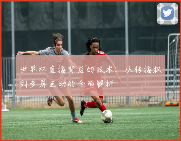 世界杯直播背后的技术：从转播权到多屏互动的全面解析