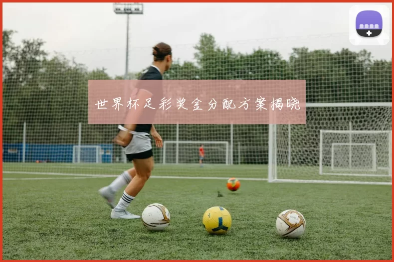 世界杯足彩奖金分配方案揭晓