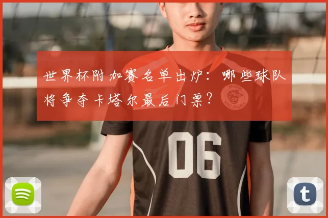 世界杯附加赛名单出炉:哪些球队将争夺卡塔尔最后门票?