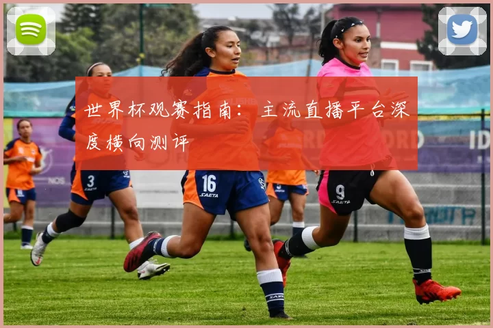 世界杯观赛指南:主流直播平台深度横向测评