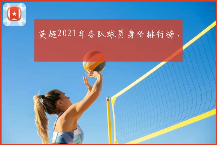 英超2021年各队球员身价排行榜 .