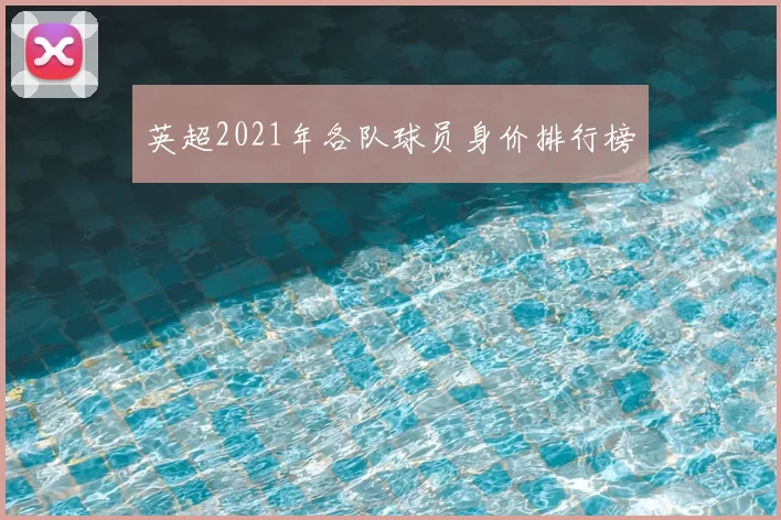 英超2021年各队球员身价排行榜