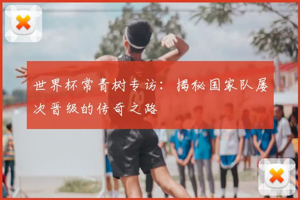 世界杯常青树专访:揭秘国家队屡次晋级的传奇之路