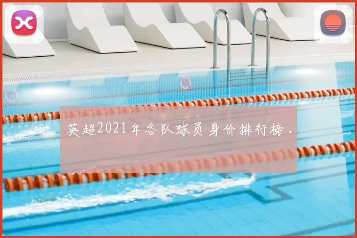 英超2021年各队球员身价排行榜 .
