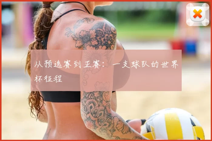 从预选赛到正赛:一支球队的世界杯征程