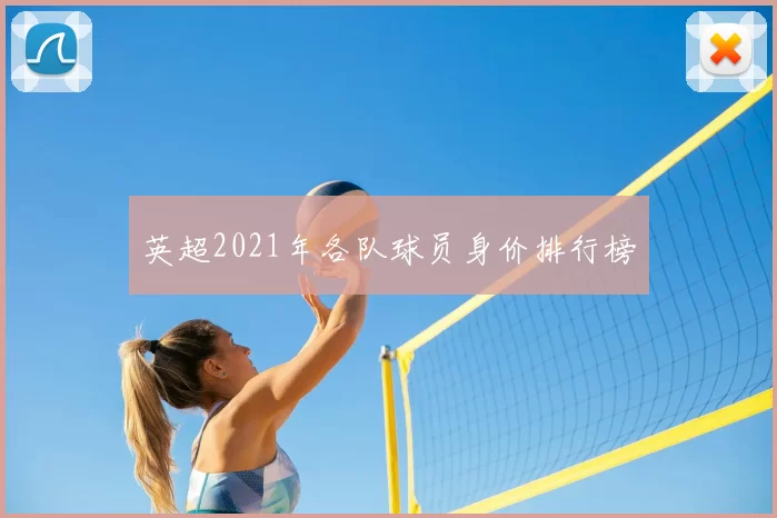 英超2021年各队球员身价排行榜