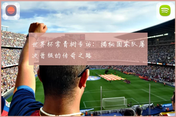 世界杯常青树专访:揭秘国家队屡次晋级的传奇之路