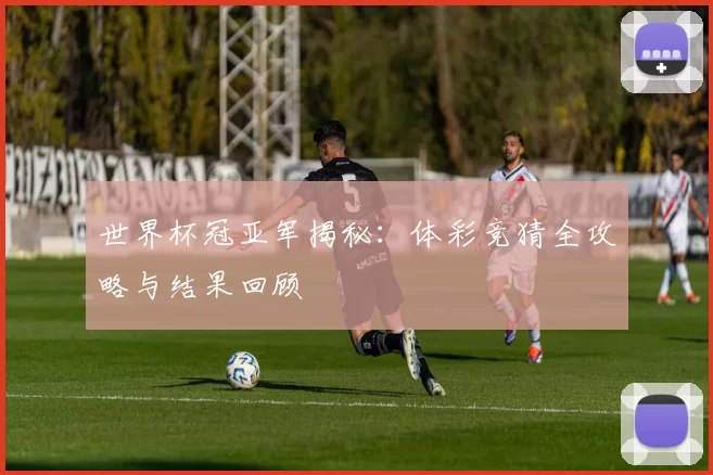 世界杯冠亚军揭秘:体彩竞猜全攻略与结果回顾