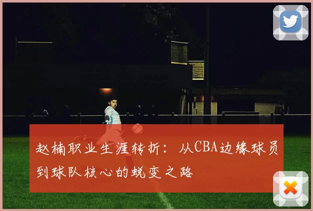 赵楠职业生涯转折：从CBA边缘球员到球队核心的蜕变之路