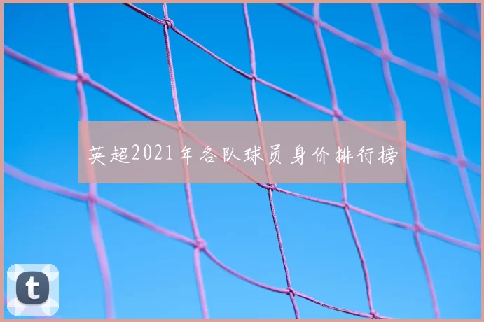 英超2021年各队球员身价排行榜