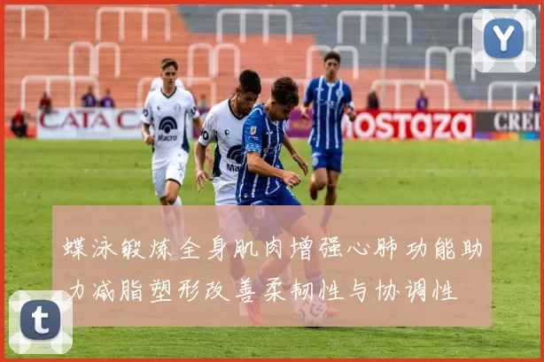 蝶泳锻炼全身肌肉增强心肺功能助力减脂塑形改善柔韧性与协调性