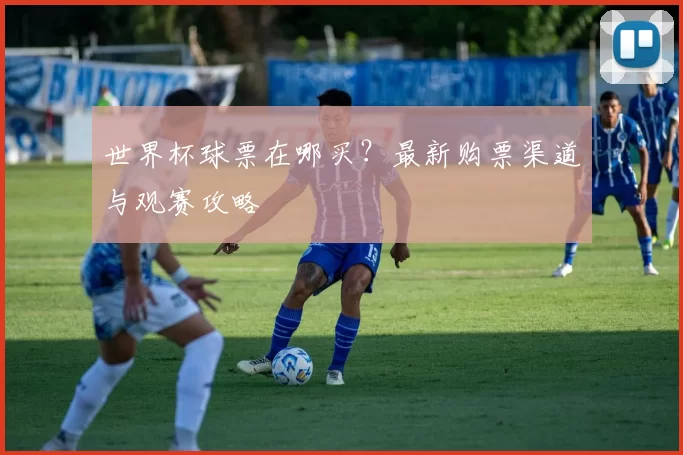 世界杯球票在哪买?最新购票渠道与观赛攻略