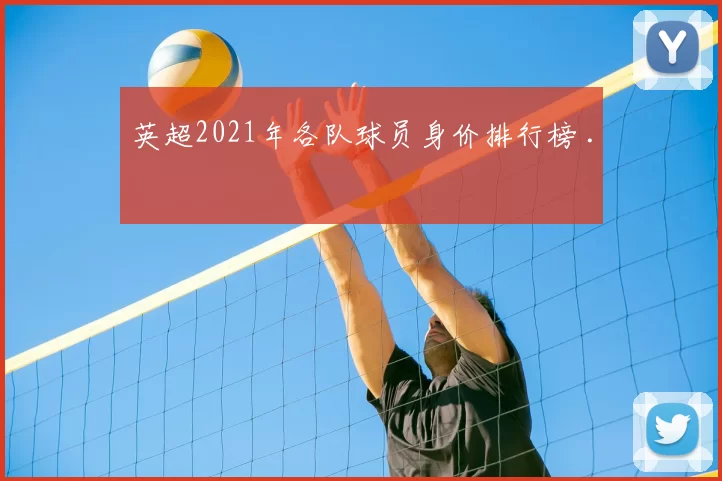 英超2021年各队球员身价排行榜 .