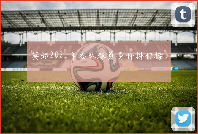 英超2021年各队球员身价排行榜 .