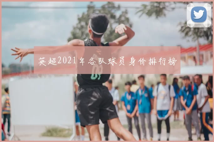 英超2021年各队球员身价排行榜