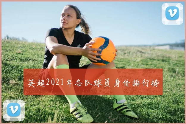 英超2021年各队球员身价排行榜