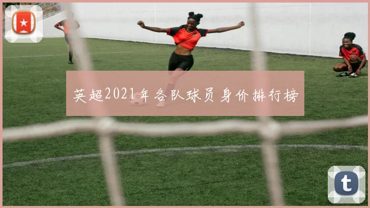 英超2021年各队球员身价排行榜