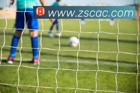 爱游戏官网服务体系